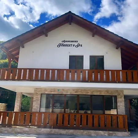 Casa Forrest & Chalet *